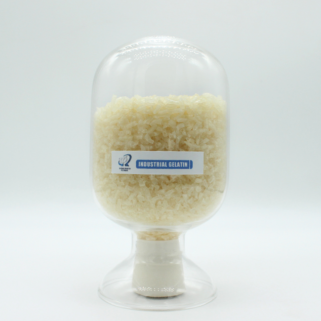 Gelatin Food Grade CAS 9000-70-8 Bloom Best Quality