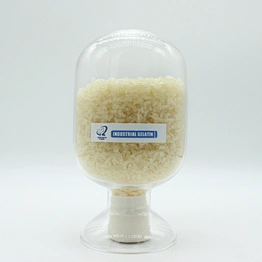 Gelatin Food Grade CAS 9000-70-8 Bloom Best Quality