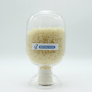 Gelatin Food Grade CAS 9000-70-8 Bloom Best Quality