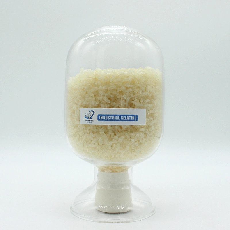 Gelatin Food Grade CAS 9000-70-8 Bloom Best Quality