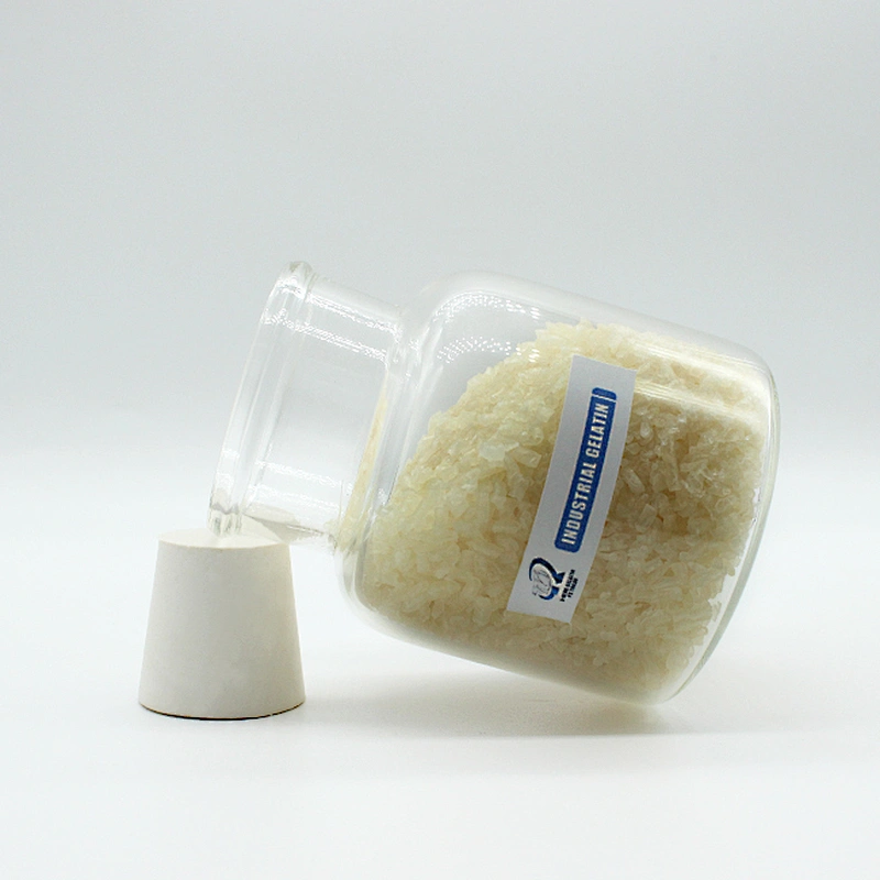 Gelatin Food Grade CAS 9000-70-8 Bloom Best Quality