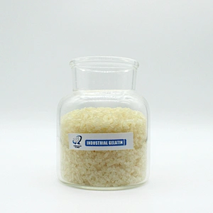 Gelatin Food Grade CAS 9000-70-8 Bloom Best Quality