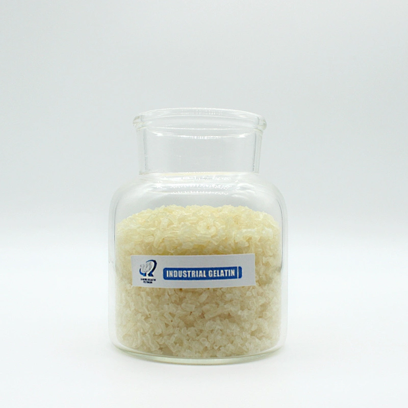 Gelatin Food Grade CAS 9000-70-8 Bloom Best Quality
